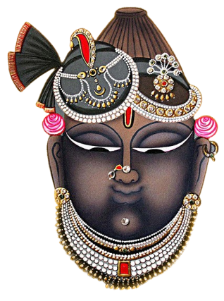 Shri Nath Agencies logo
